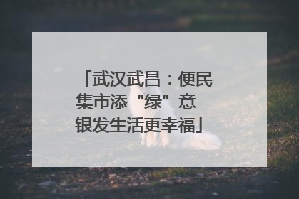 武汉武昌：便民集市添“绿”意 银发生活更幸福